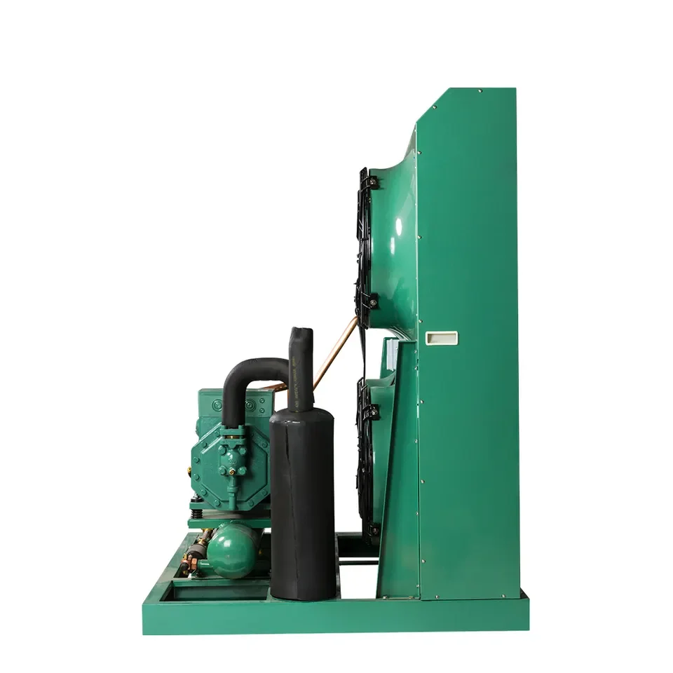 Professional Freezer room refrigeration unit cold room condenser unit cold storage refrigerating machine Unit