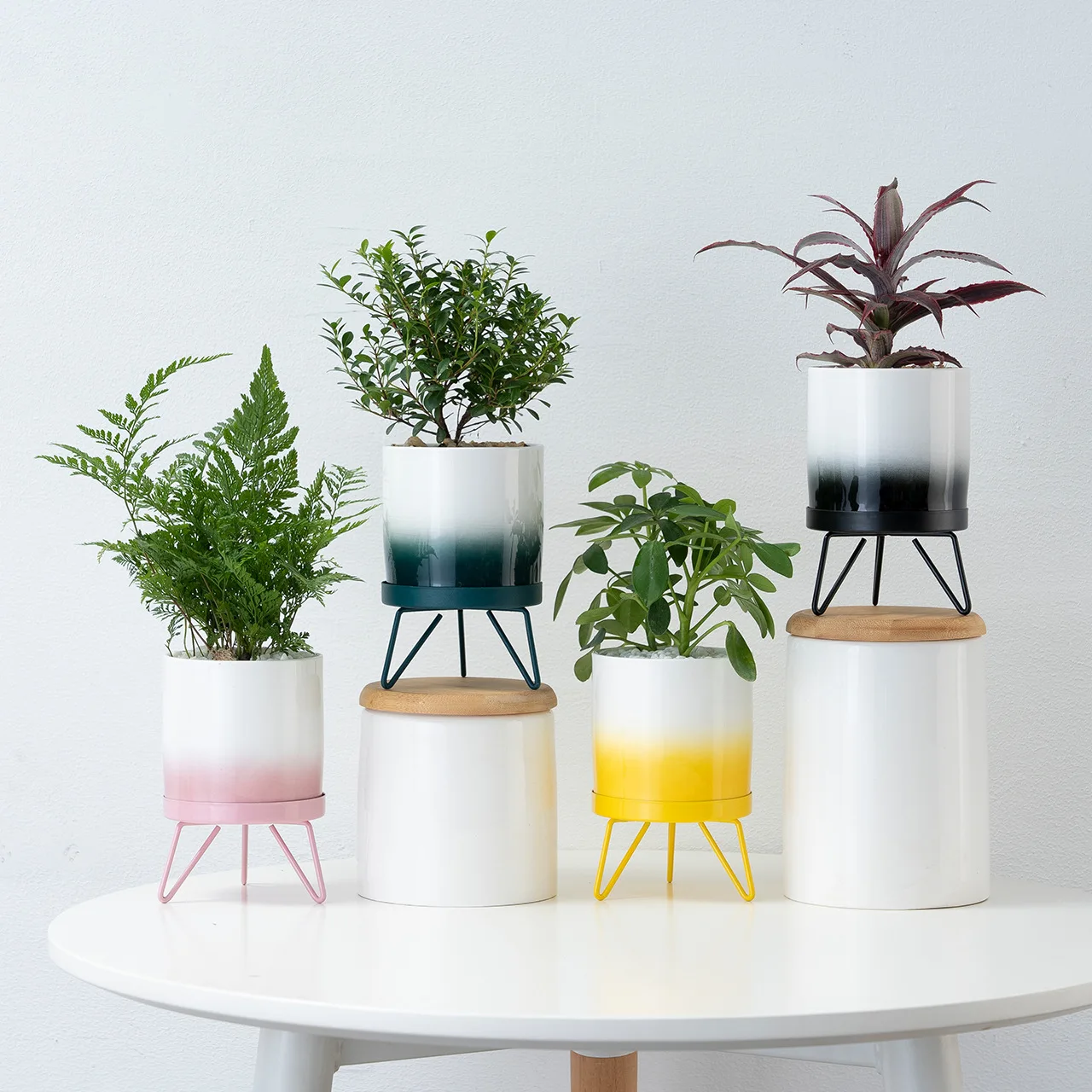 Indoor Gradient small potted green plants round iron ceramic flowerpots with metal stand