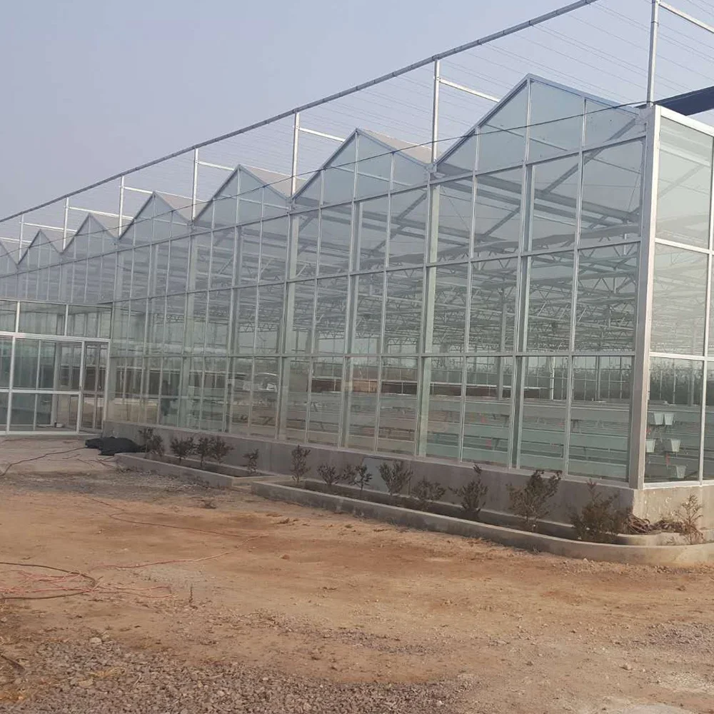  Многопролетная стеклянная теплица Harvest Vale Venlo сельскохозяйственная для выращивания овощей цветов лекарственных