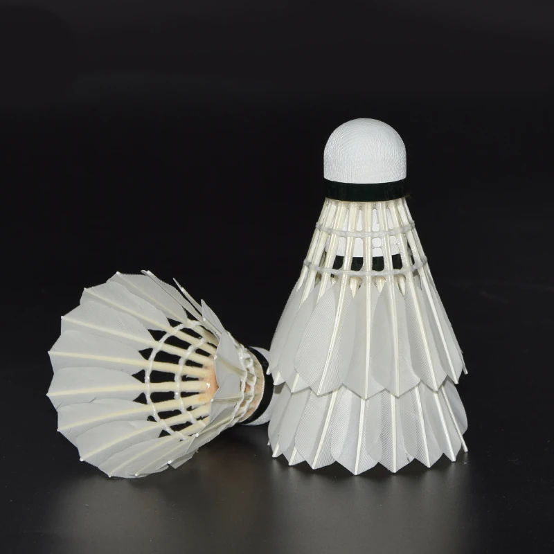 China Manufacturer Wholesale Training Tournament Produce Badminton Print Sample Wholesale AS09 Training Machine