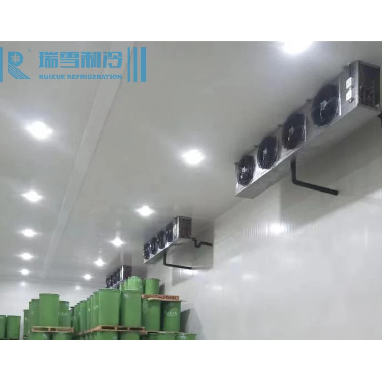 Meat Freezer and Food Cold Storage Room Fresh Storage Frozen Food Energy-saving Refrigerator Room Cold Storge Warehouse