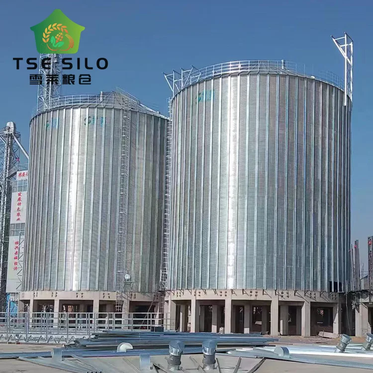 Soybean wheat paddy flat bottom  grain silo for farms