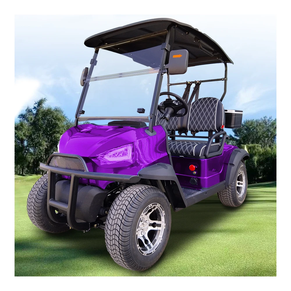 2024 new designed factory electric golf cart slingshot atv/utv 2 / 4 / 6 seater