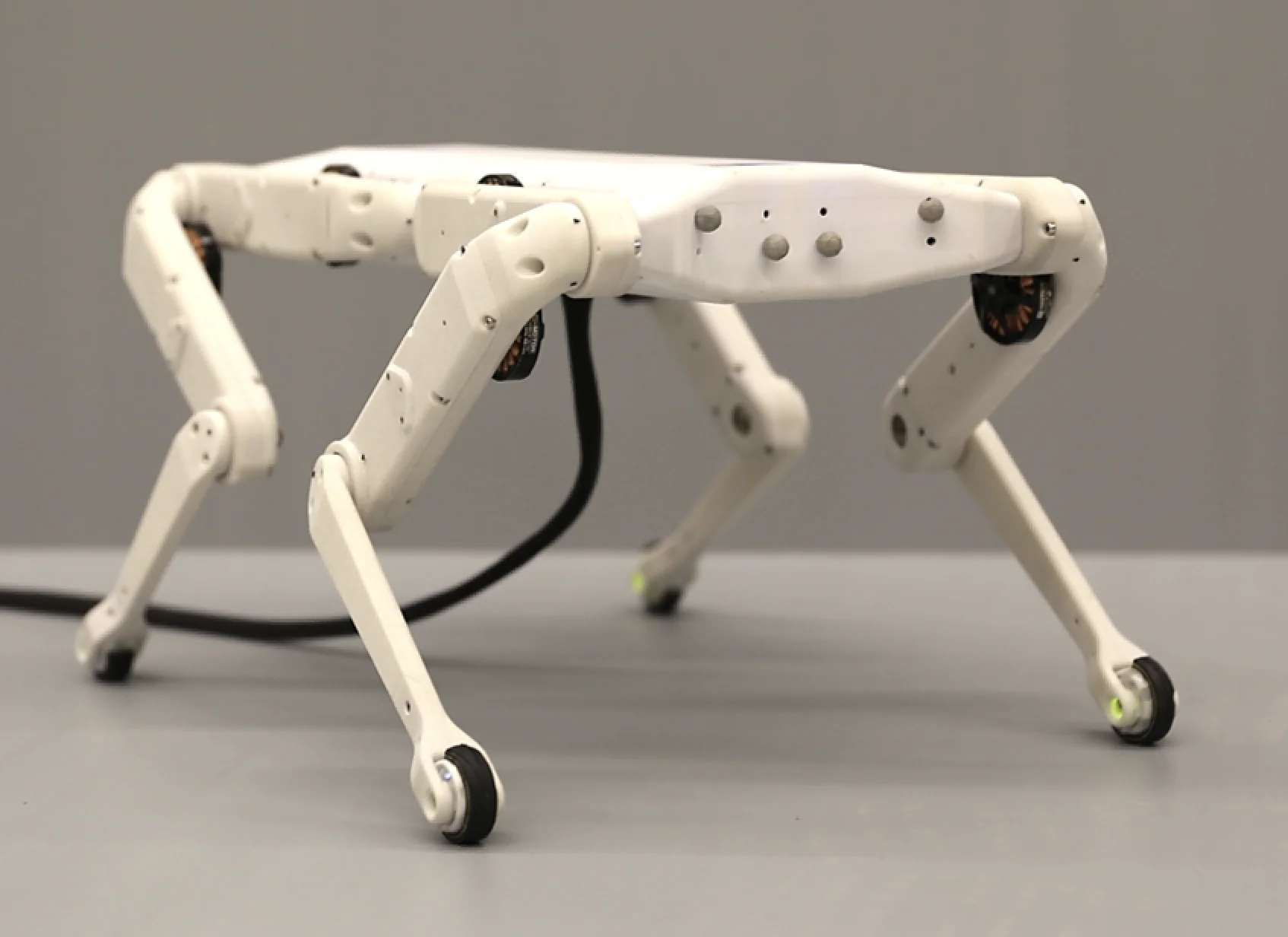 Boston DIY Industrial Grade Robot Dog Open Dynamic Sports & Entertainment Product with Initiative