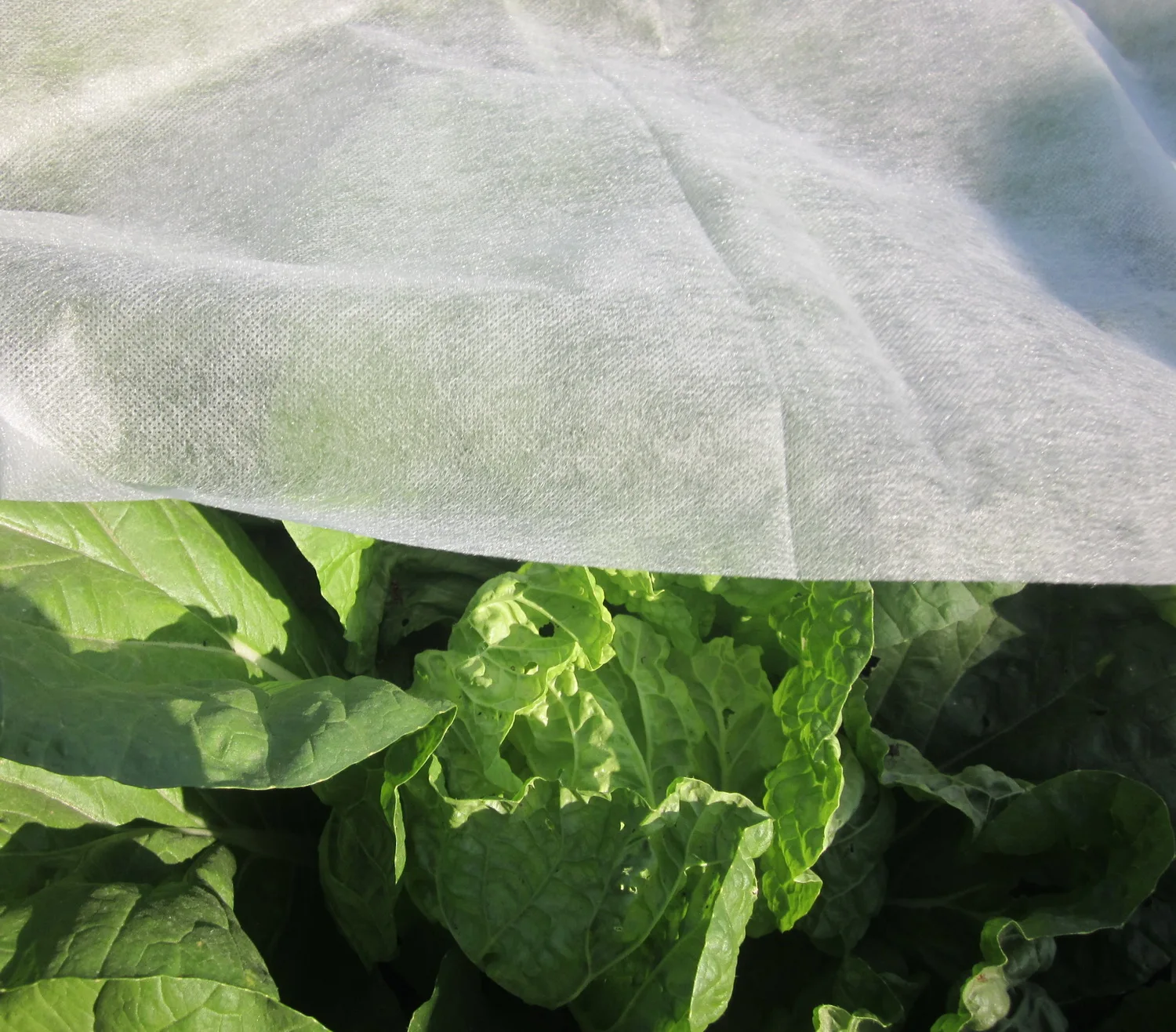 BSCI Factory UV stabilised 17gsm breathable PP non woven fabric anti frost TNT non-woven fabric for garden