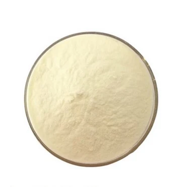 Микорриза, Bacillus megaterium, Орхидея антракнос