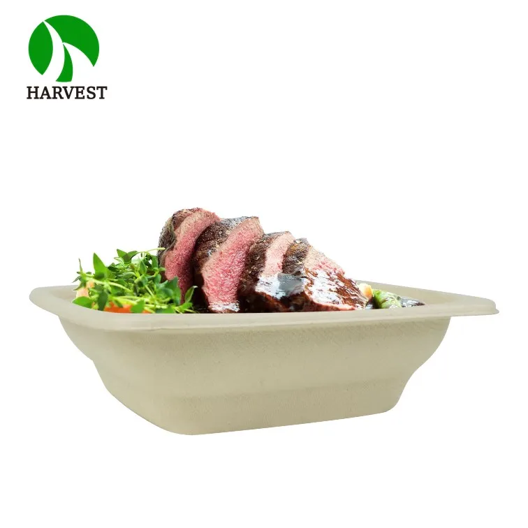 Disposable Bamboo Takeaway Sugarcane 32Oz 24Oz Pulp Food Container