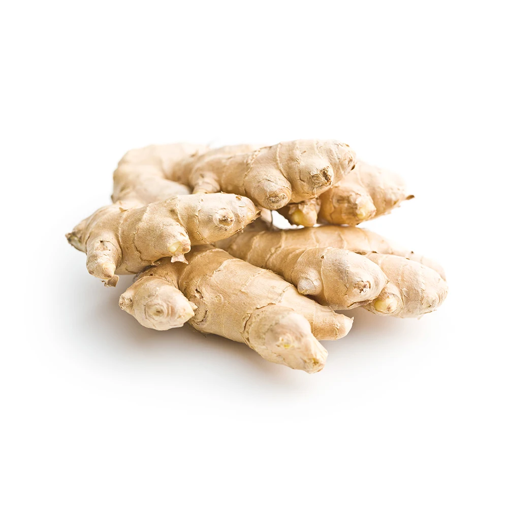 Specialized Export High Quality Ginger 150g Market Low Price Fresh Ginger