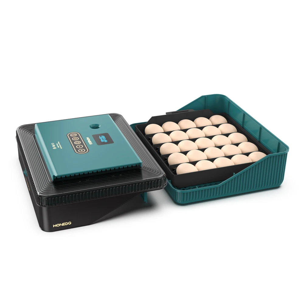 Good quality automatic computer control digital chicken egg incubator EW-25 mini chicken incubators