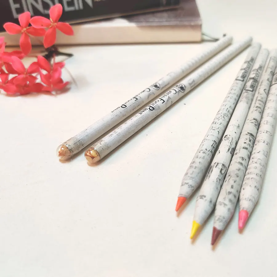 Eco-friendly Plantable Notebooks Paper Colour Pencils and Plant Pencils Kit Gift box