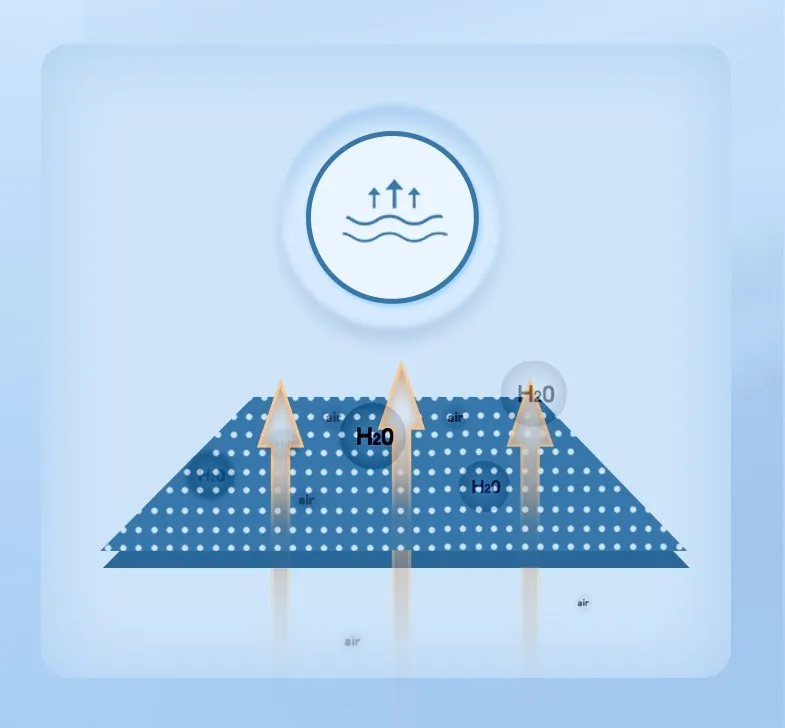 Purple Disposable Travel Panties for Women for On-the-Go