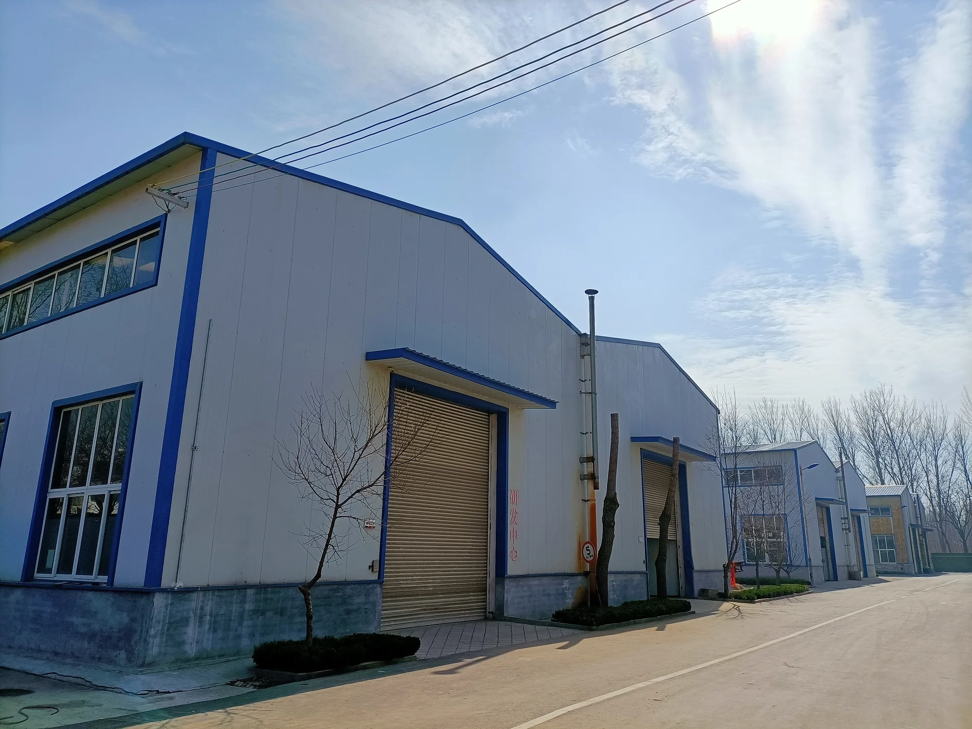 restaurant wash the dirt manufacturers for sale garlic  washer/cleaner