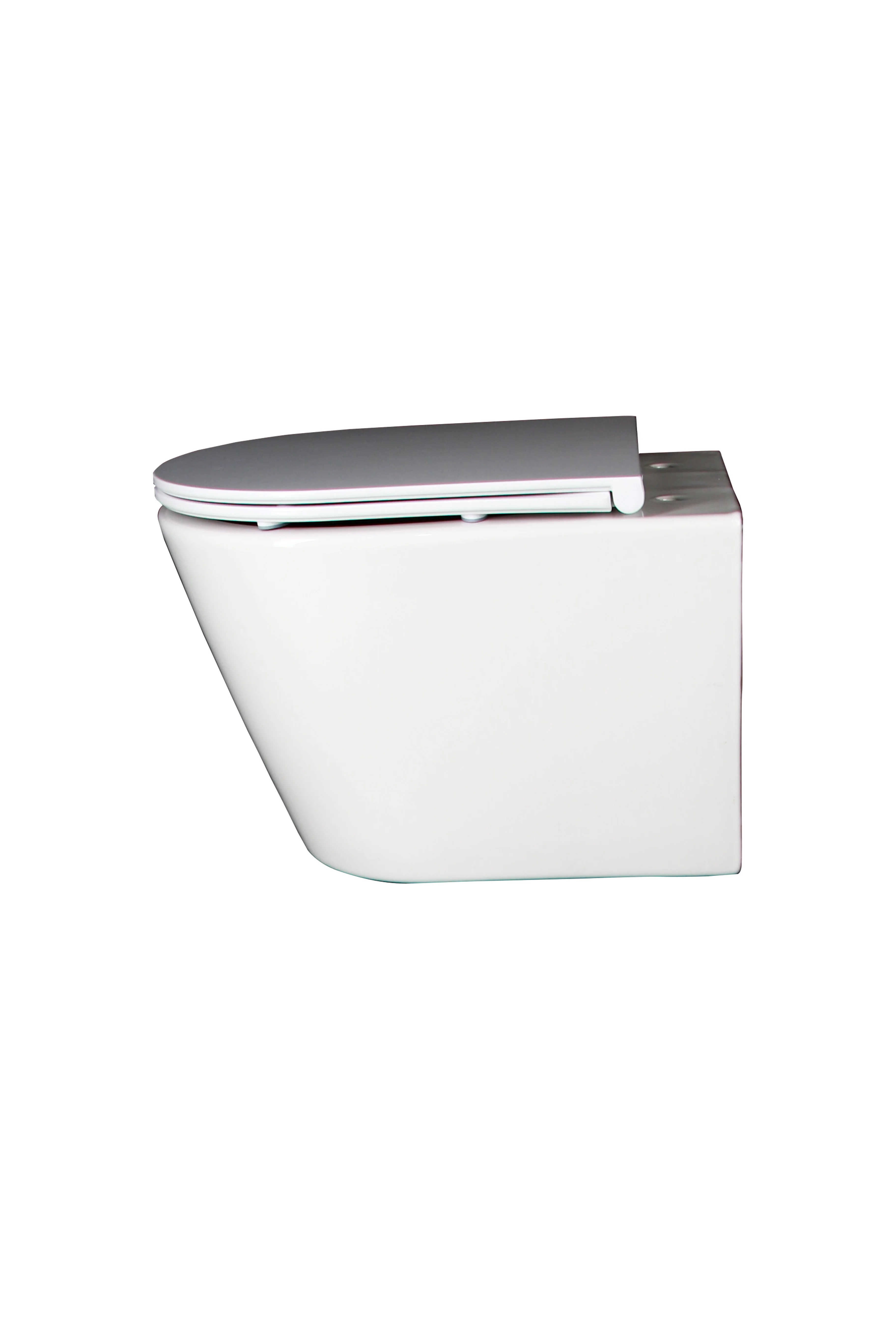 Siphon Sanitary Ware Dual Flush P-trap S-trap Wall Mounted Wall Hung Ceramic Toilets