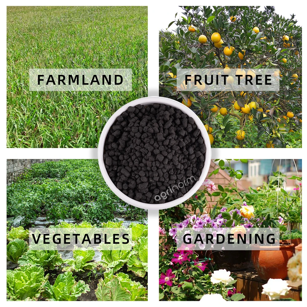 High Quality Growth Promoter soluble granular organic fertilizer