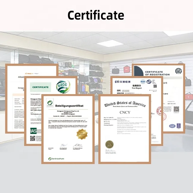 Custom Portable Travel Small Zipper Pouch Mobile Phone Power Bank Headset Data Cable Storage Organizer Shockproof EVA Carry Case