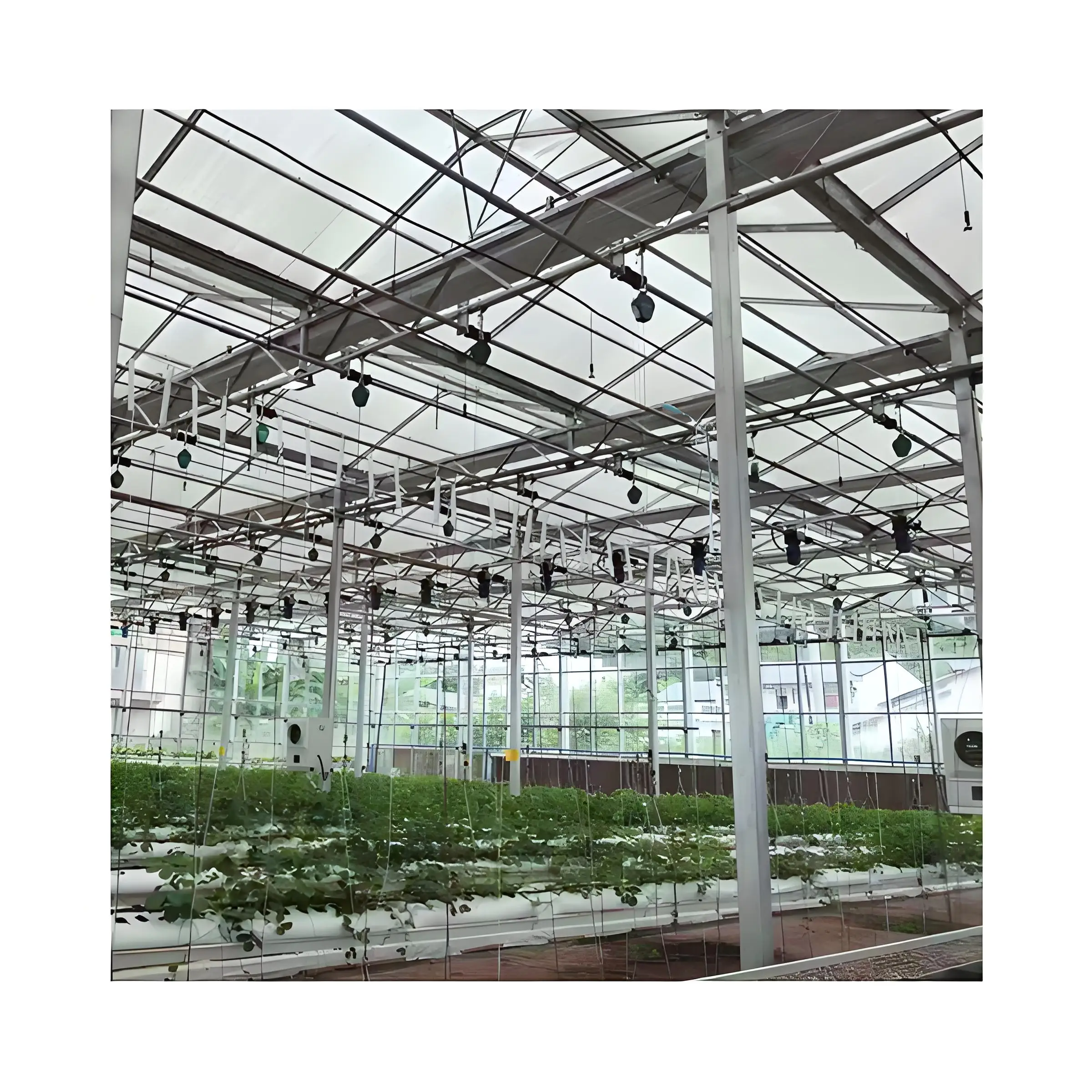Modern Style High-Efficient Agricultural Greenhouse Hydroponic Growing System for Seed Raising  Glass Green house