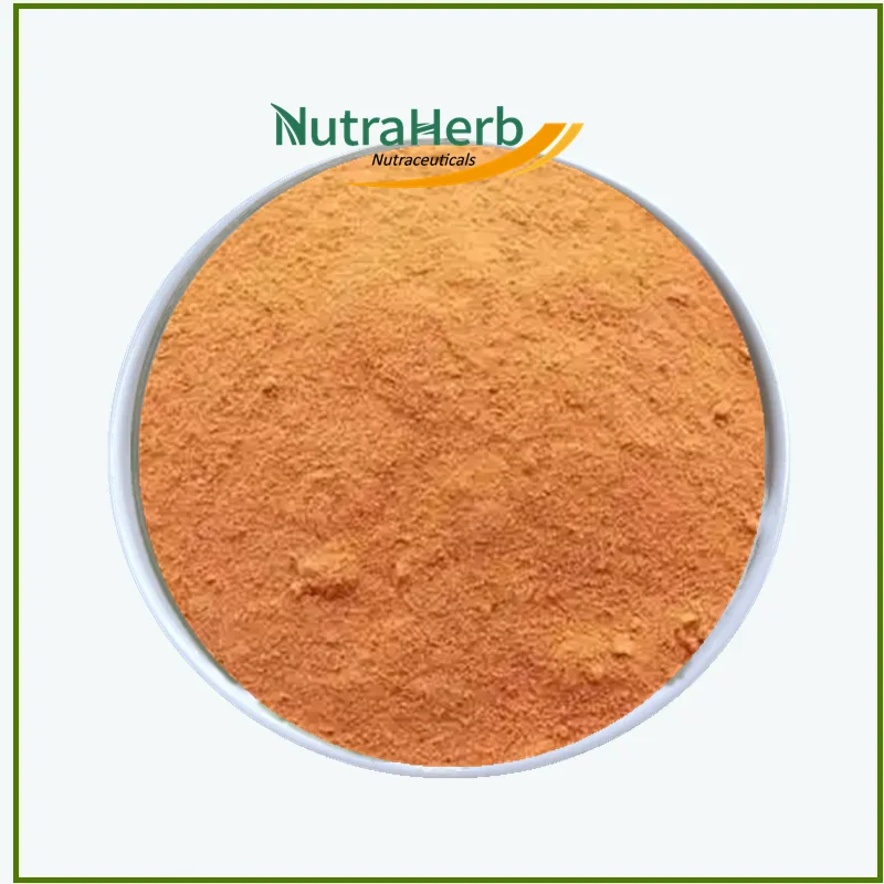 Chinese Wolfberry Wholesale Pure Wolfberry Extract 10%-50% Polysaccharides Goji Berry Powder Natural Lycium Barbarum Extract