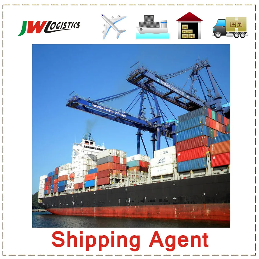 LCL/FCL Door to Sea/ocean Freight Forwarder Shipping A-mazon FBA From China USA Canada Mexico
