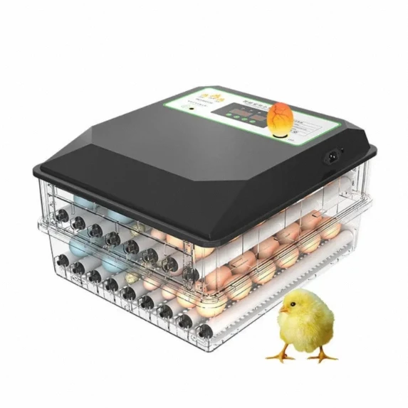 Widely Used automatic poultry hatching egg incubator small mini dual power chicken Broiler pigeon egg incubator