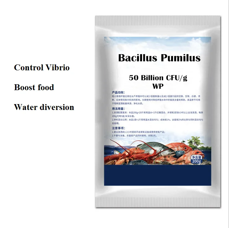Aquaculture Fish Shrimp Environment Bacteria Crab Sewage Treatment Bacillus Pumilus 50 Billion