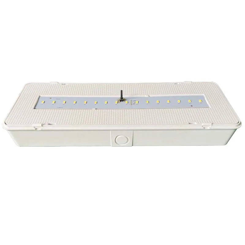 Wholesale Hot style IP20 Emergency LED Emergency Bulkhead Light Easy Wall/Ceiling Surface Mounted High Luminous Flux &  Efficacy