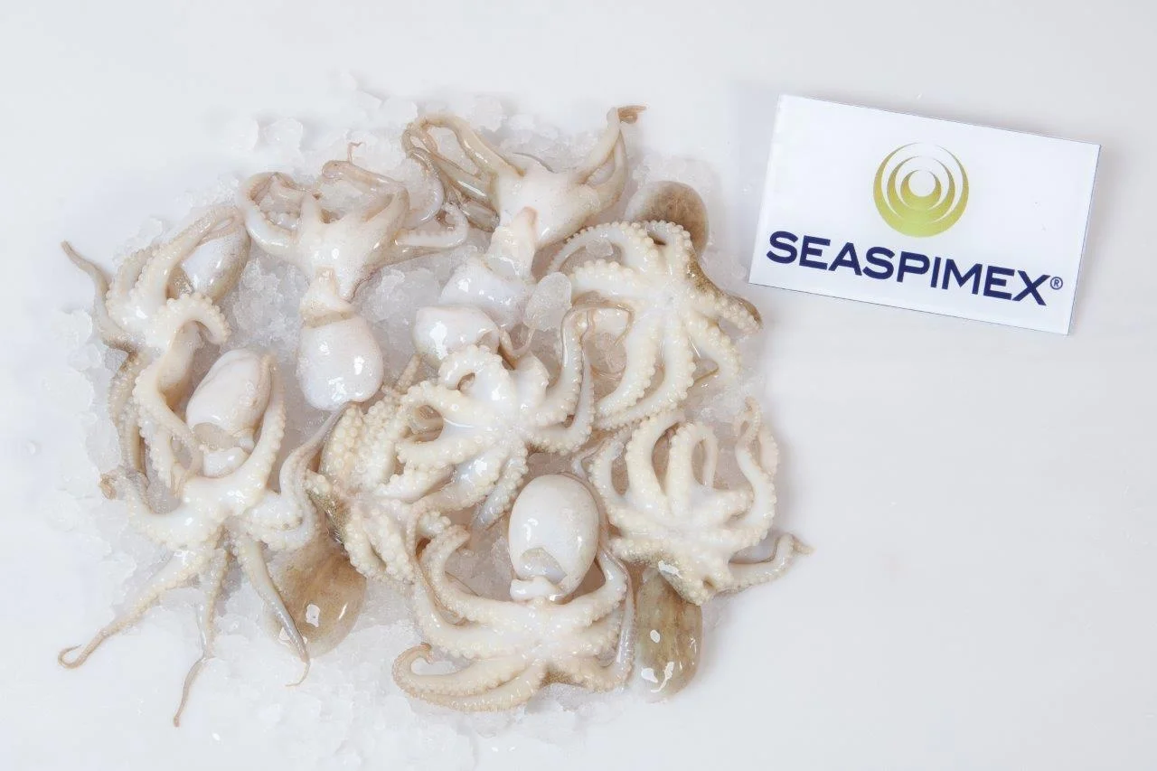 
ALL SIZES BABY OCTOPUS VULGARIS IN IQF BQF FREEZING BY SEASPIMEX VIETNAM 