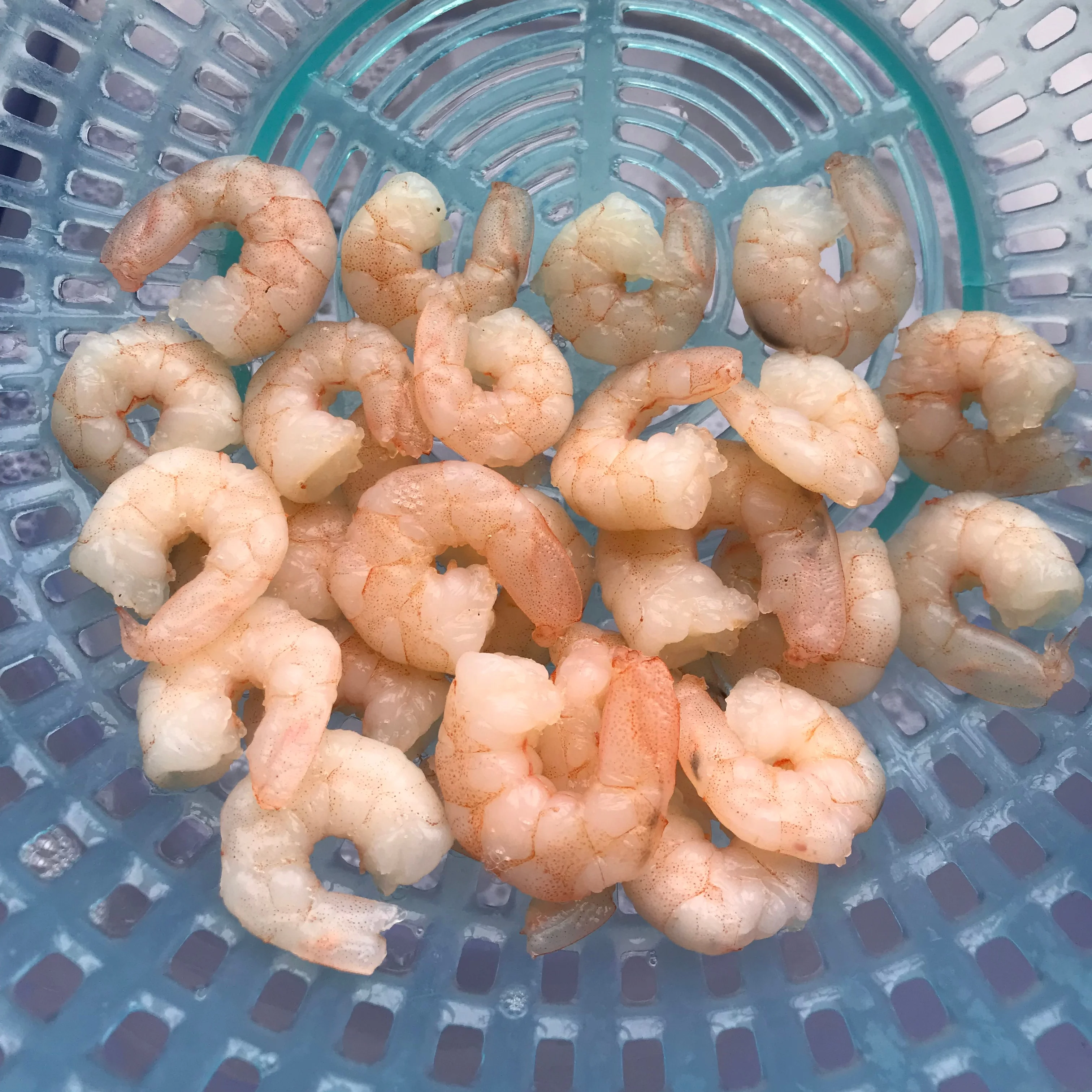Sanfeng Seafood Cooked Pd Tail-on Frozen Vannamei Shrimp