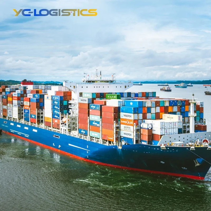 Shipping agent sea freight forwarder FBA logistics ddp door to door from China to usa and Europe