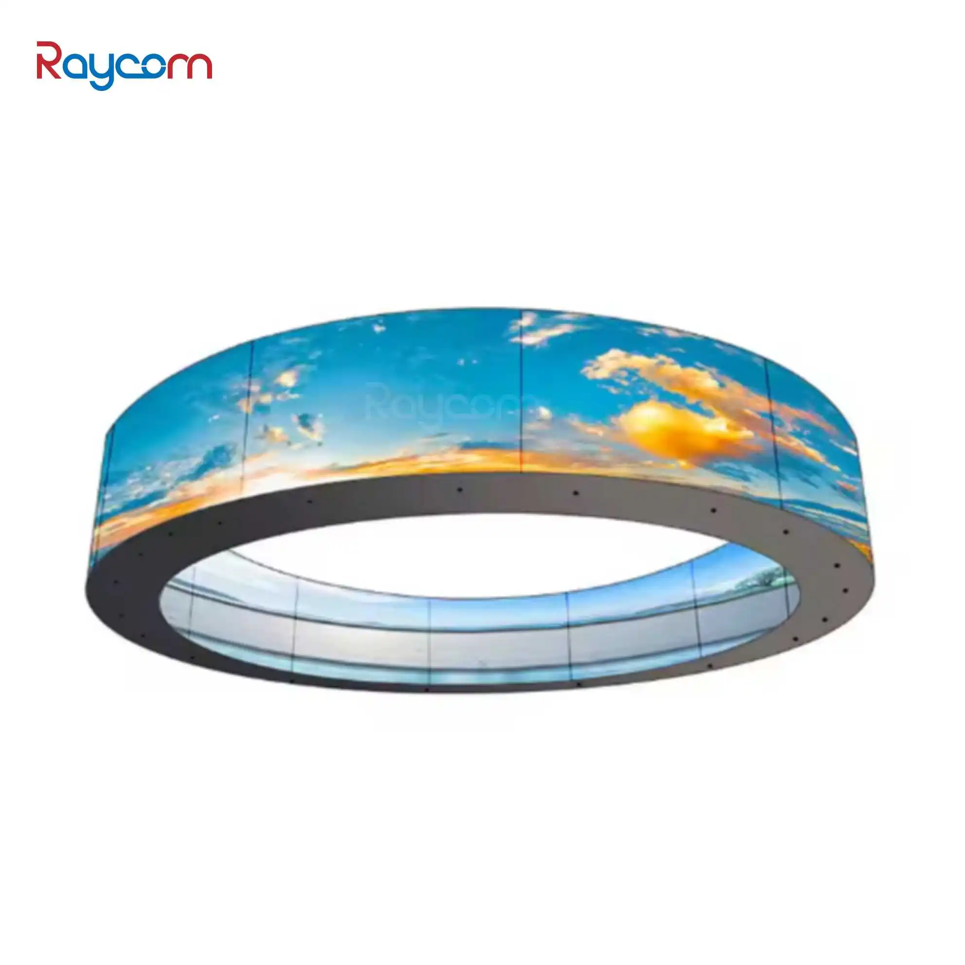 Raycom Commercial Advertising Machine with 32 45 50 55 Inch OLED Display Screen Indoor/Outdoor Use OEM Panel LED Digital Poster