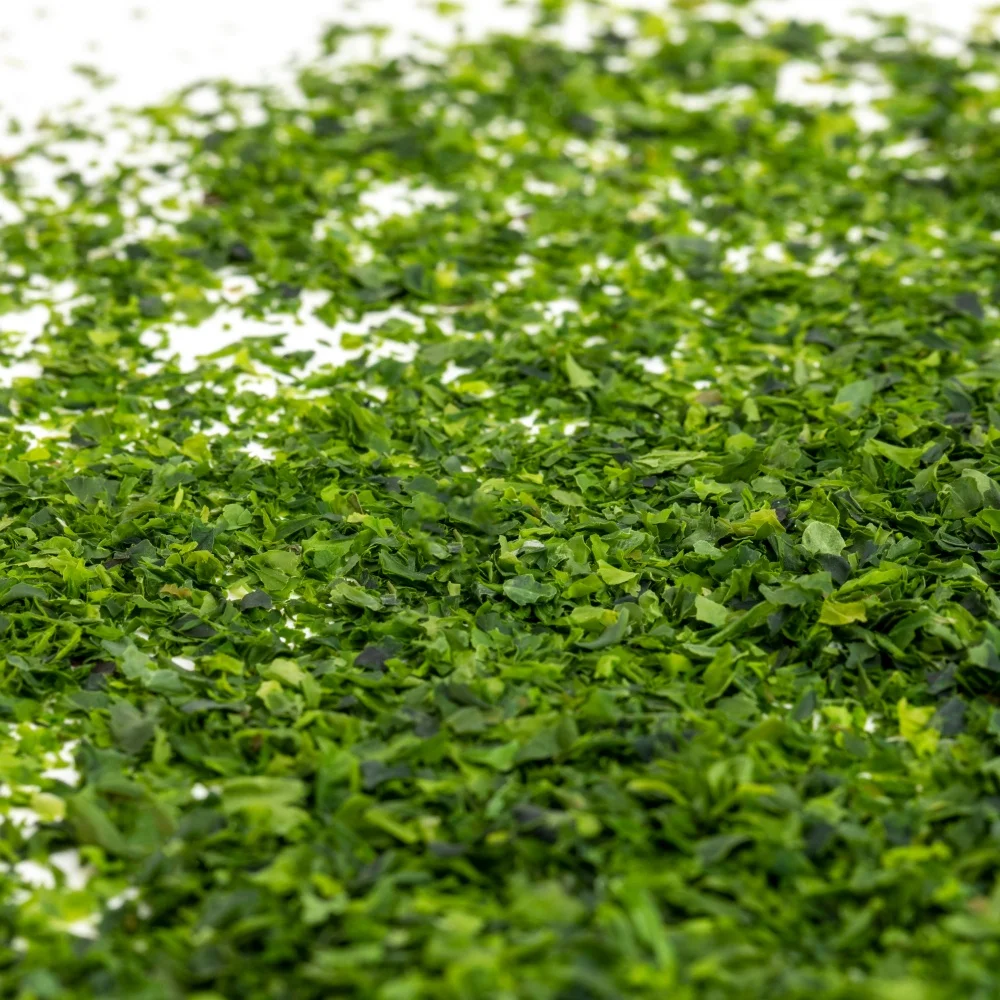 
PURE ULVA LACTUCA/GREEN SEAWEED POWDER 