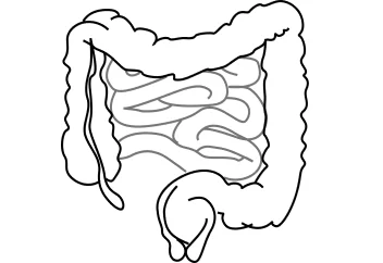 USA Wholesale Natural Supplements Colon Cleaning Supplement wt Bromelain Enzyme, FOS Fructooligosaccharides Powder, Probiotics