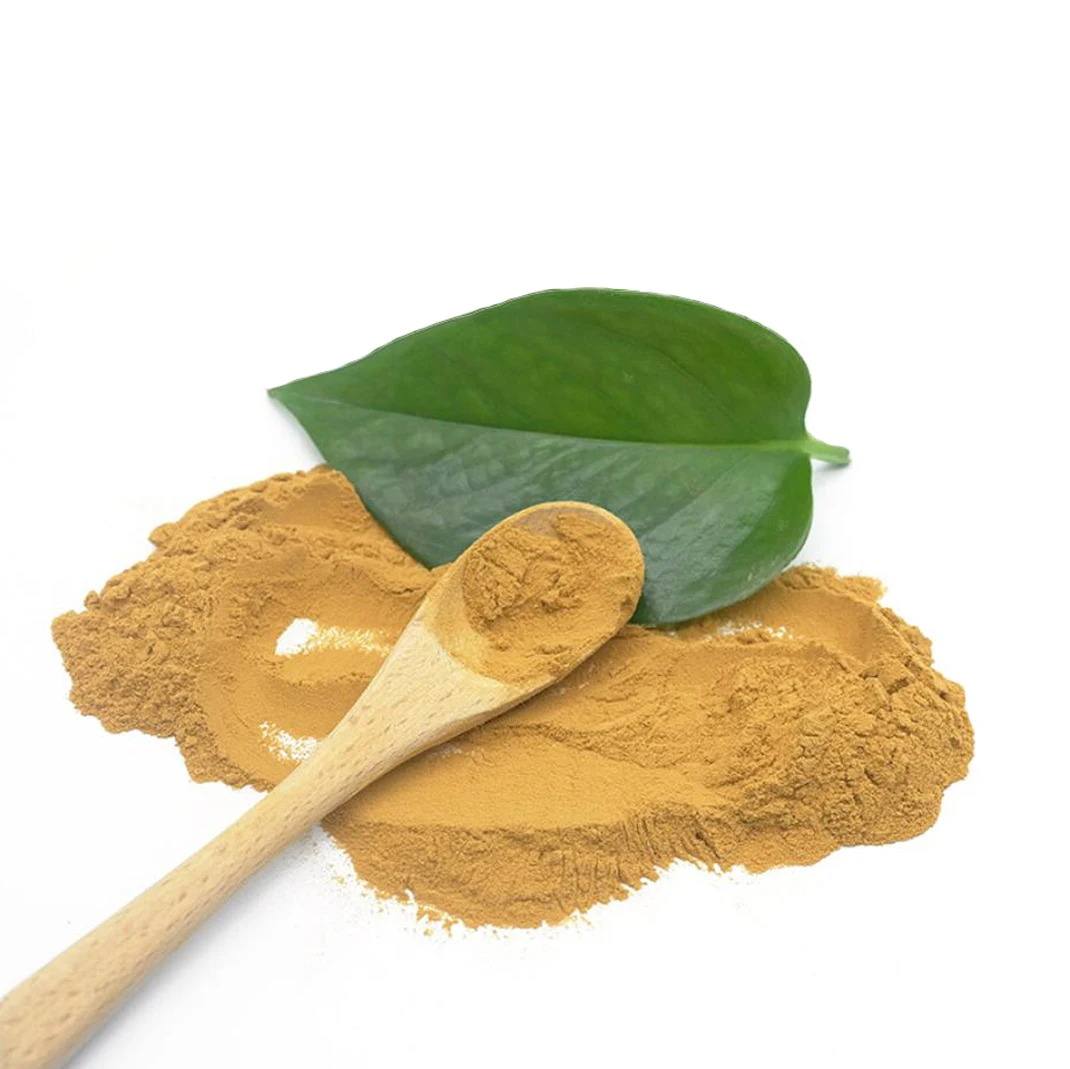 Prickly Pear Cactus Extract Powder Custom Plant Extract Pear Cactus Extract Powder