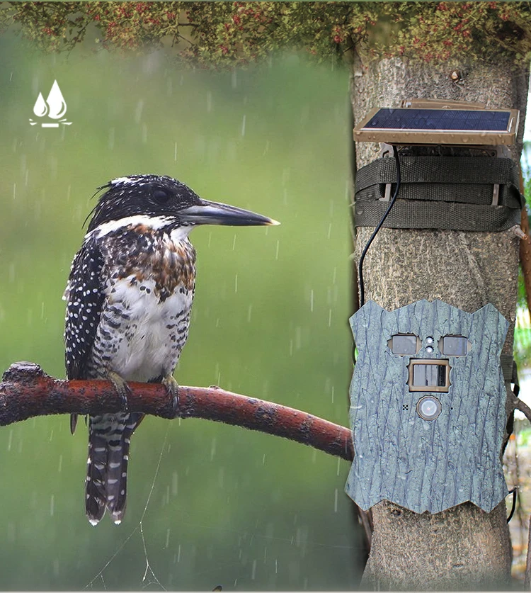 Readleaf 4K WIFI Trail Camera IP66 2.4 Inch TFT LCD Display Hunting Camera With Solar Panel