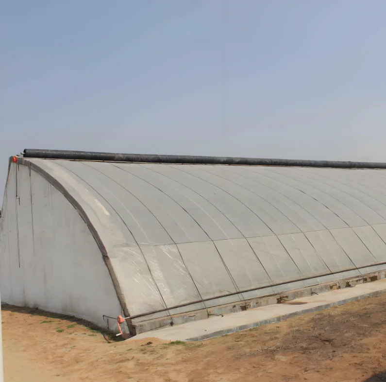 Agricultural PE Film Cover Steel and Plastic Construction Large Multi-Span Tomato Vegetable Tunnel Solar Greenhouse