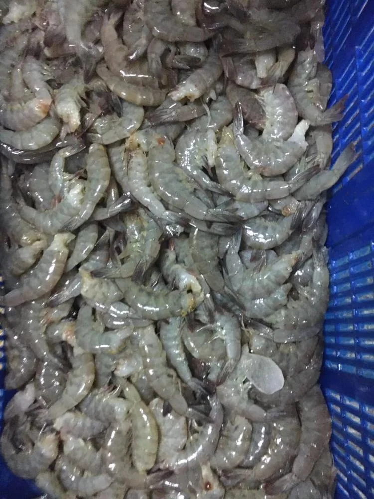 Indonesia Whole sale good quality cheap price Frozen Vannamei White Shrimp