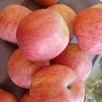 
Manufacturer Delicious Crisp Red Pink Lady Apple With Competitive Price 