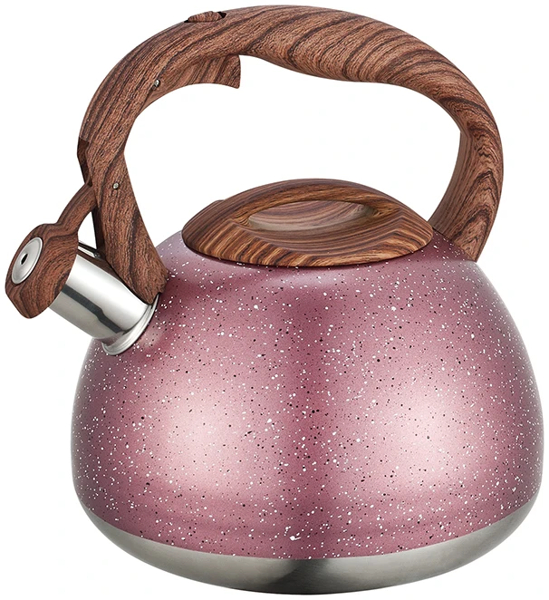stainless steel kettle 2.7 Liter whistling stove top kettle whistling  single bottom color body