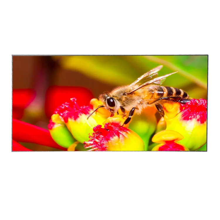 P4 P5 P6 LED Display Rental Outdoor for Stage