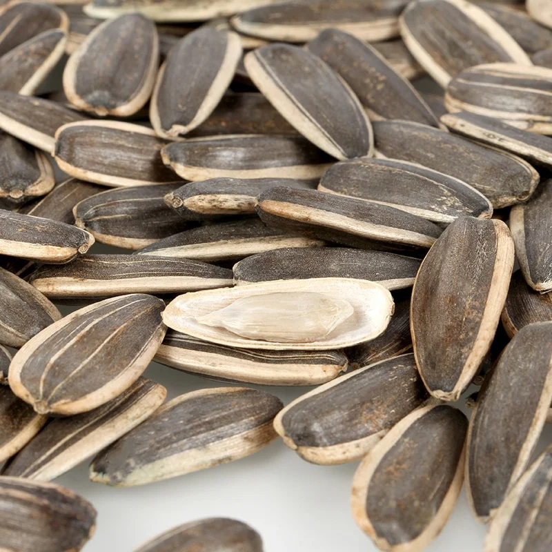 Inner Mongolia High-end Quality Export Melon Seed Office peeled sunflower seeds