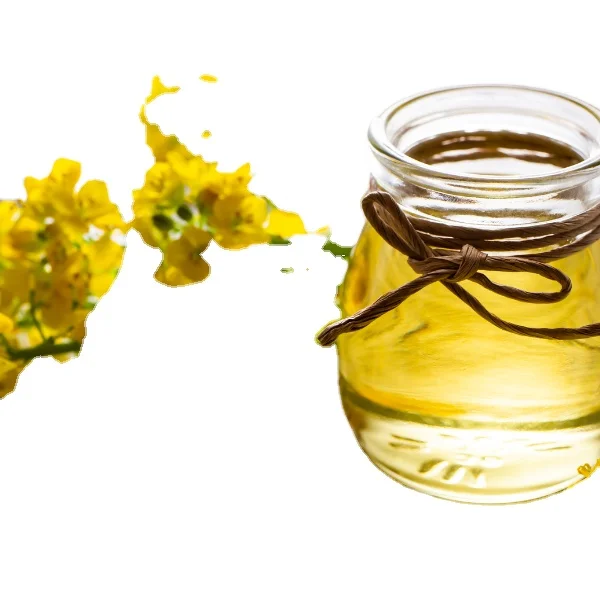 Wholesale High Quality Organic Canola Seed Oil Rapeseed EU Cold Pressed Ready To Shipp Bulk Packaging For Cooking And Dressing