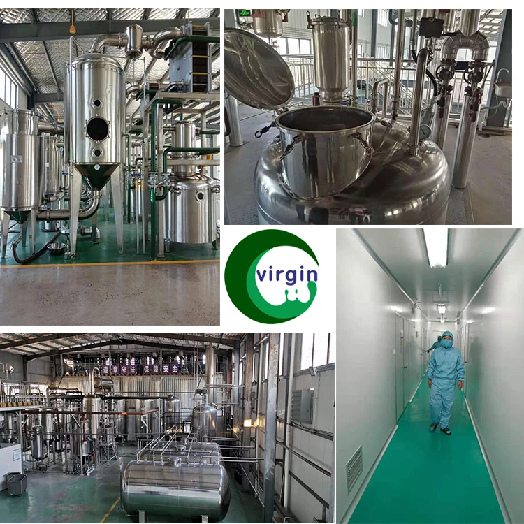 ISO certificate supply cosmetic raw material Ferulic Acid Powder CAS 537-98-4 for skin care