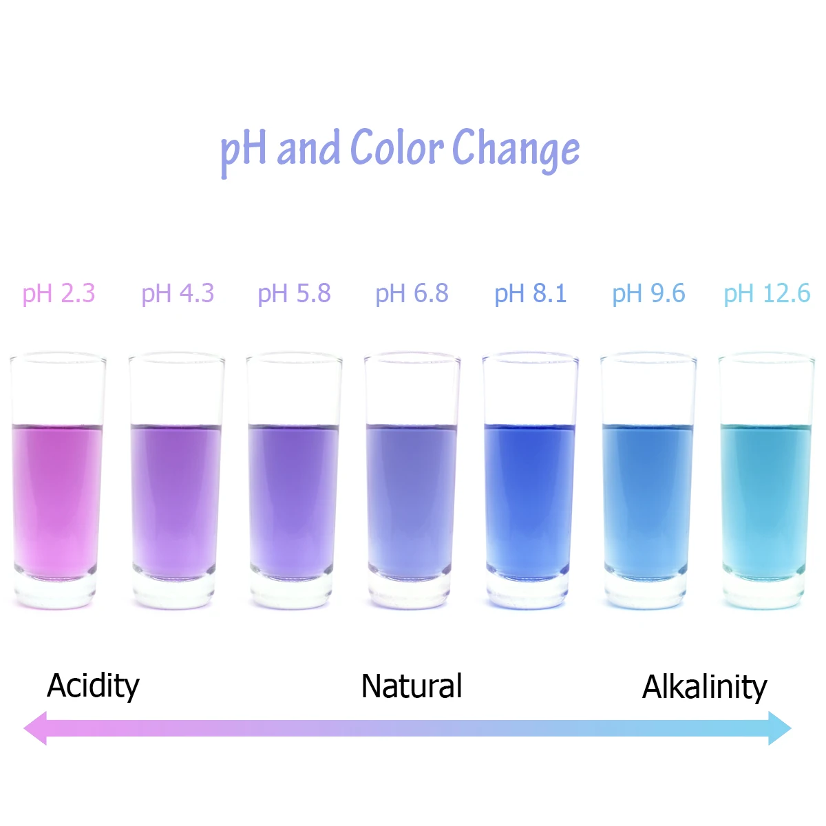 
Blue Organic Dried Butterfly Pea Flowers Natural Pure Tea Drink Clitoria Ternatea Healthy Herbal Herb 