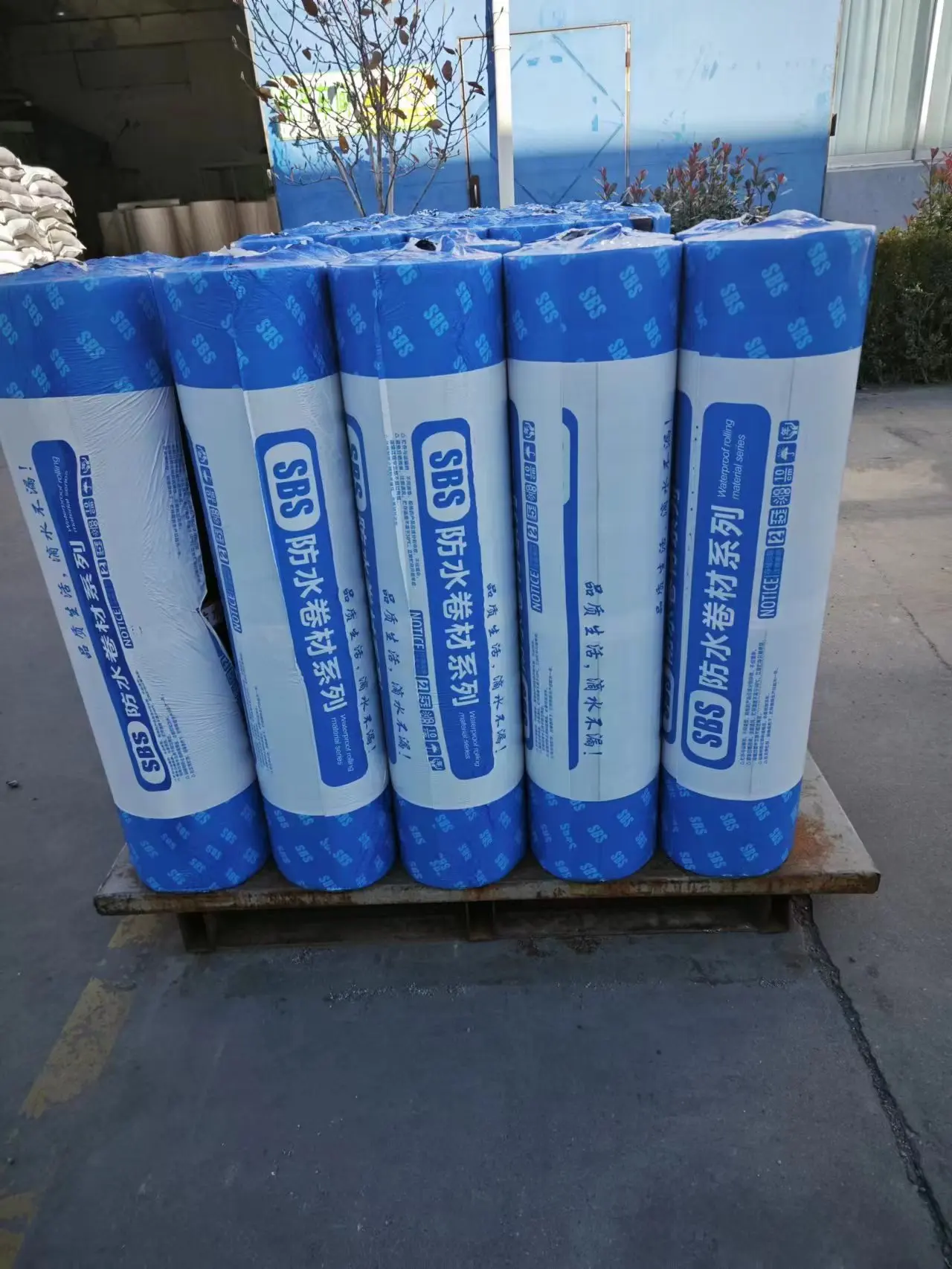 2mm 3mm 4mm Torch on applied SBS/APP  Modified Bitumen asphalt  waterproof membrane