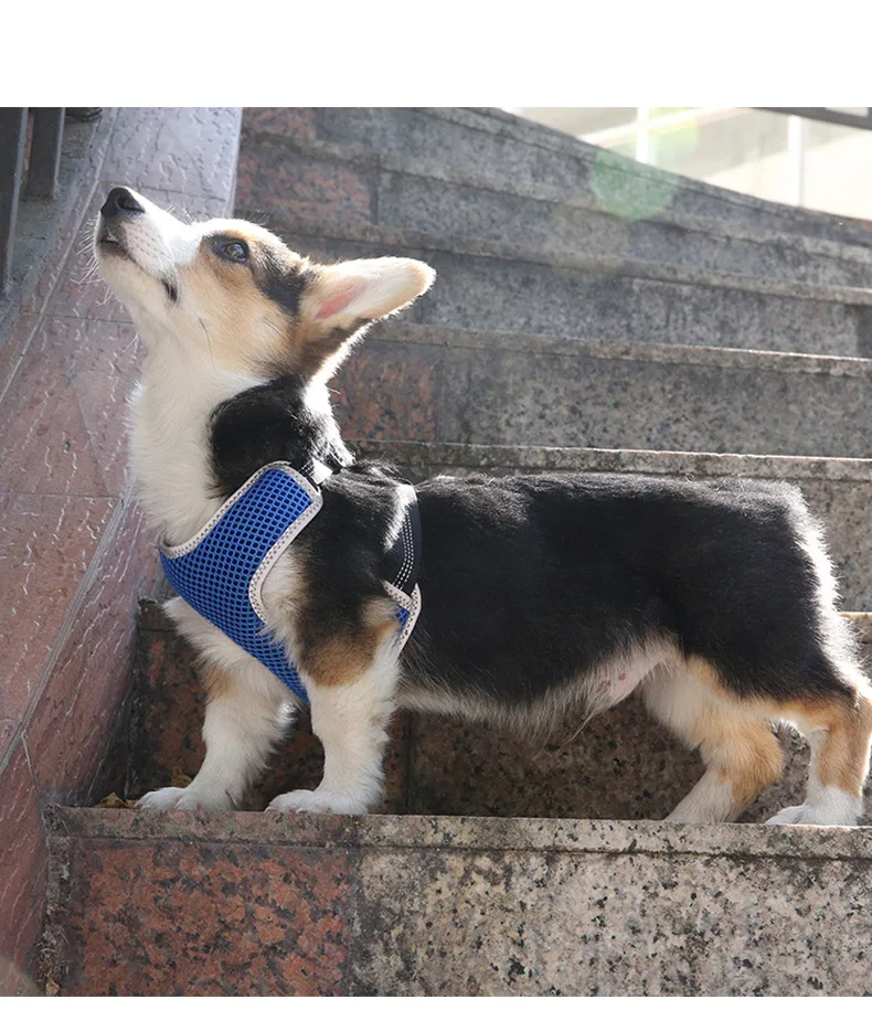 Designers Soft   Simple And Clean  Pet Vest Pet Mesh Harness Mesh Dog