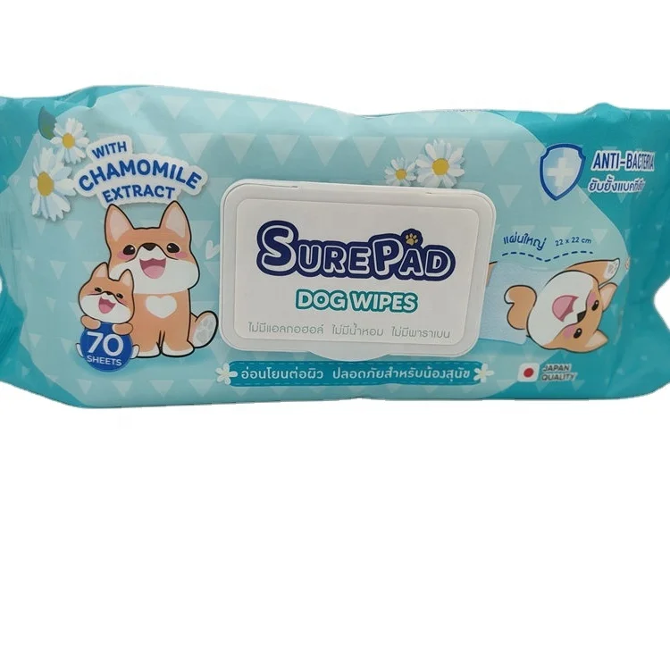Pet Wet Wipes for Dog Calming Gentle and Non-irritating Dog Cleaning Wipes OEM Aloe Flow Bag with Top Lid 22*22CM DW7060L CN;ZHE