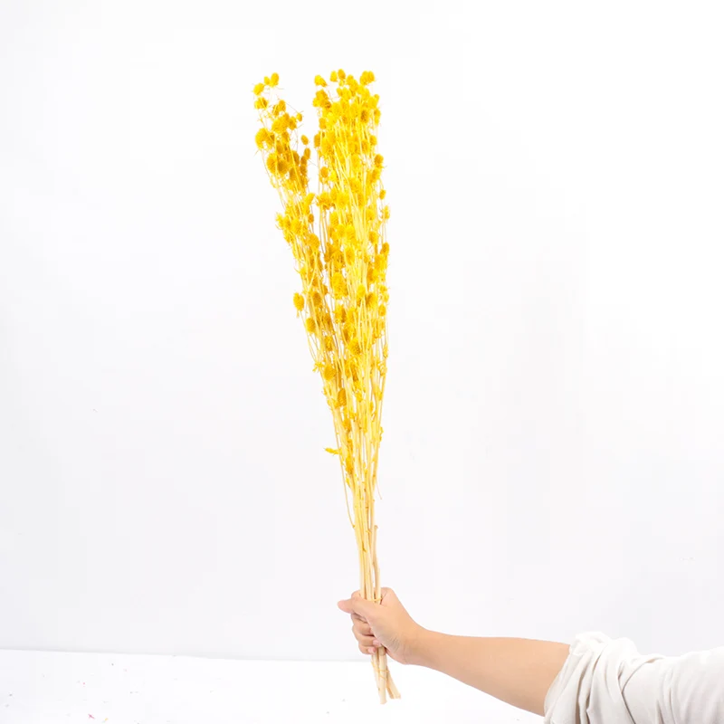Yunnan Hot Selling Custom Colored Dried Globe Amaranth Flower For Christmas Decoration