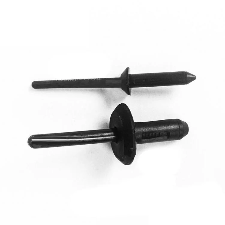 Plastic Nylon Black Pop Rivet