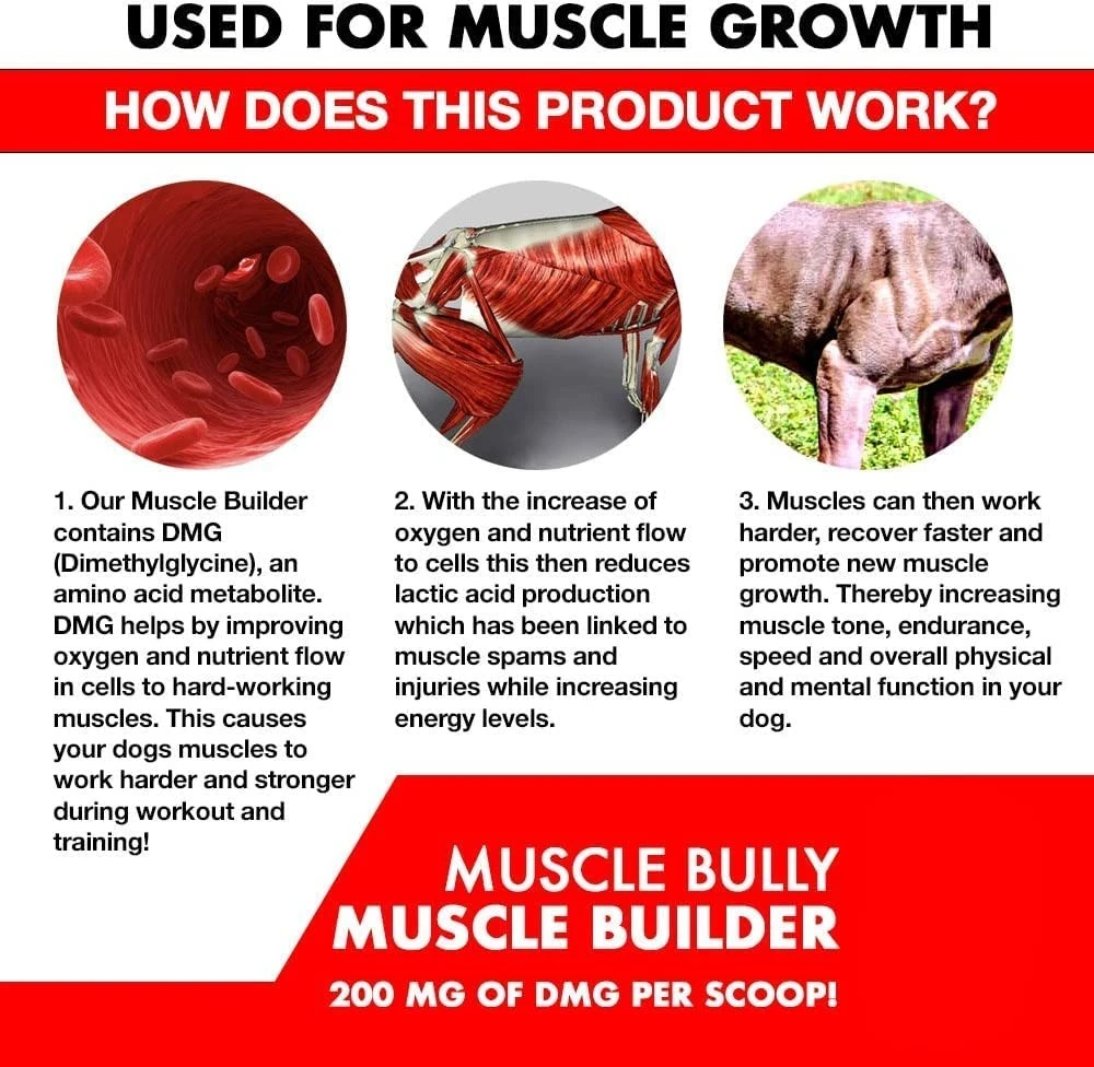 Pet supplement bully max muscle builder weight gain supplements for dogs