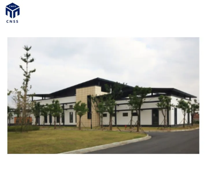 Q355B Engineered Industry Construction Prefabricated Modern Metal Light Frame Structural steel structure buildings