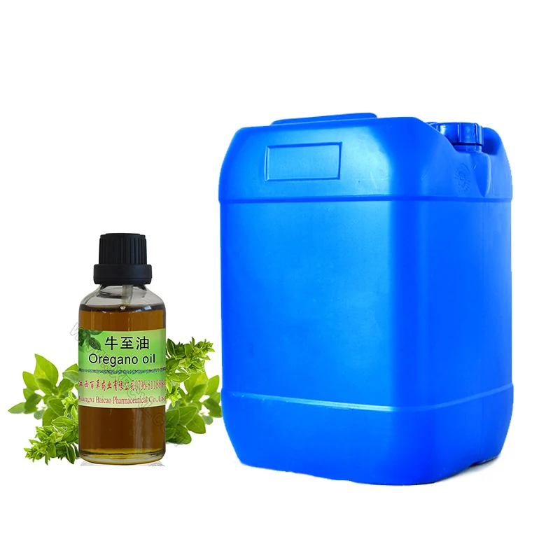 Natural Plant Extract Organic Oregano Oil for Hair Skin Care Bulk Essential Oil for Flavors and Fragrances